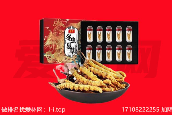 呼伦贝尔莫力达瓦旗回收虫草.jpg